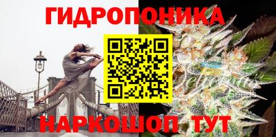 бошки Малгобек