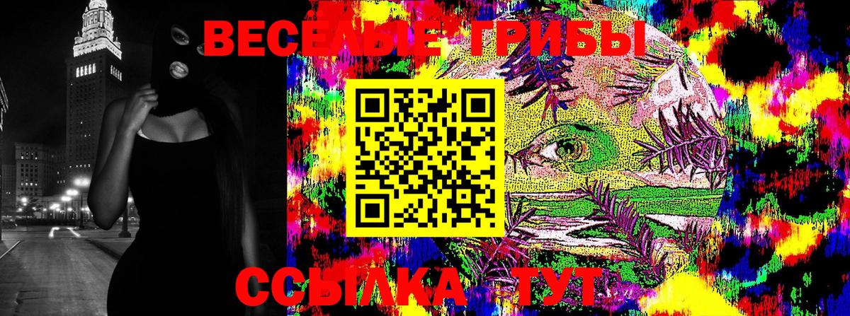 Галлюциногенные грибы Psilocybe  Вход с VPN  Дагестанские Огни 