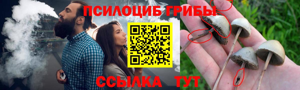 Псилоцибиновые грибы прущие грибы Дагестанские Огни